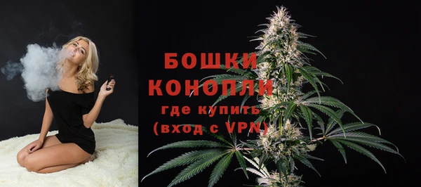 прущие грибы Балабаново