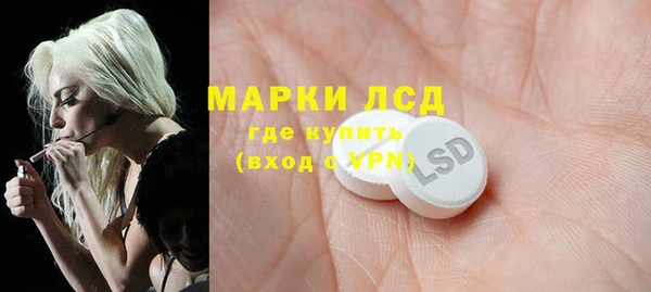 дживик Баксан