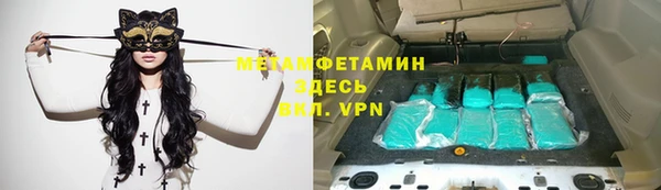 прущие грибы Балабаново
