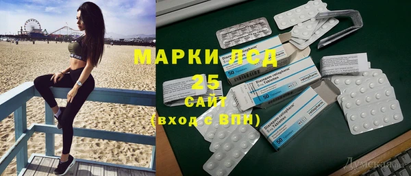 прущие грибы Балабаново