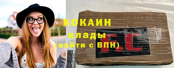 прущие грибы Балабаново