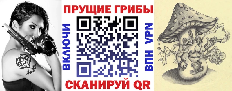 дарнет шоп  Томилино  Псилоцибиновые грибы Psilocybine cubensis 